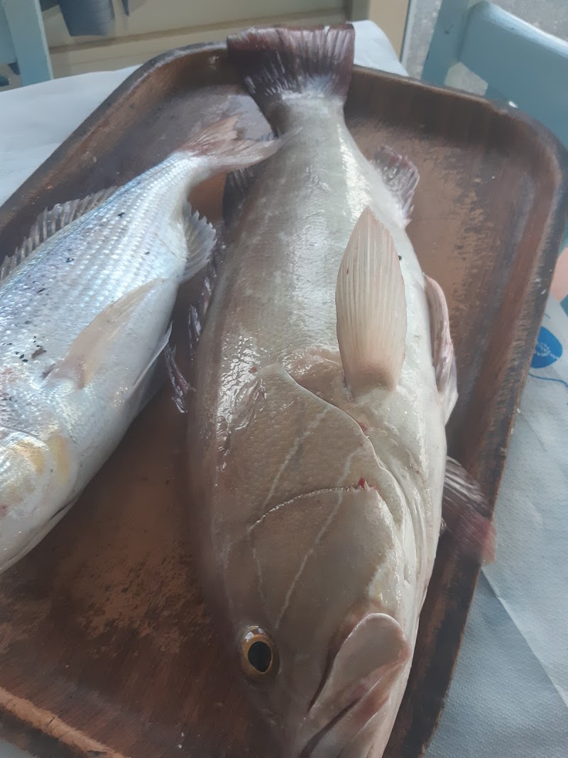 Fish tavern Blue Scorpion Marine - Photo 2