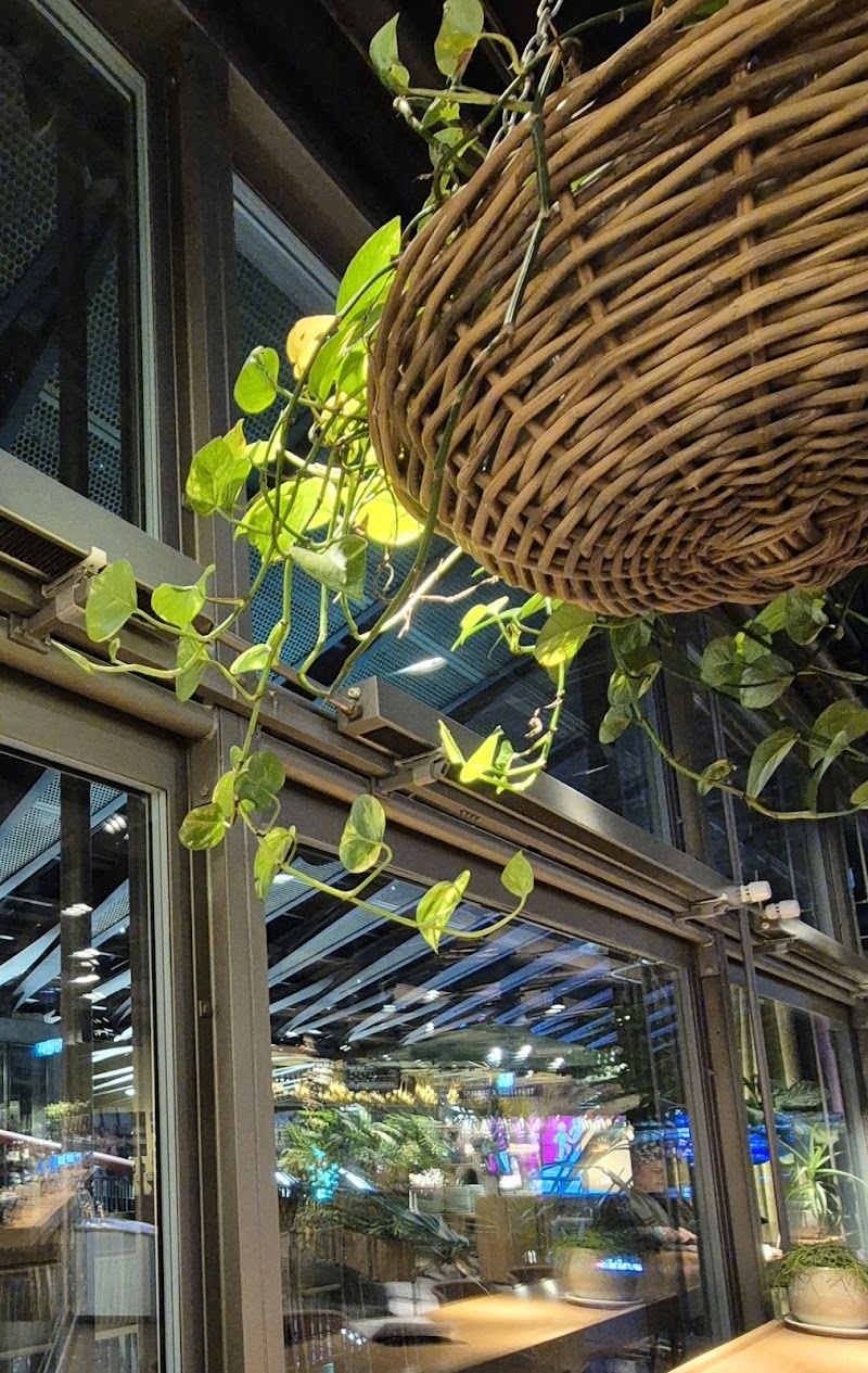 tibits Luzern - Photo 5