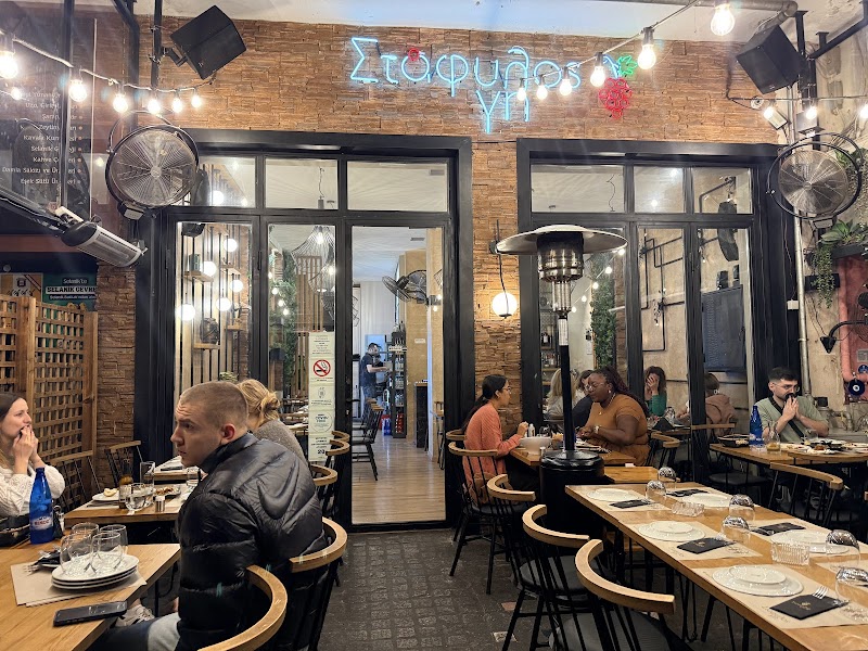 Στάφυλος Γη - Photo 2