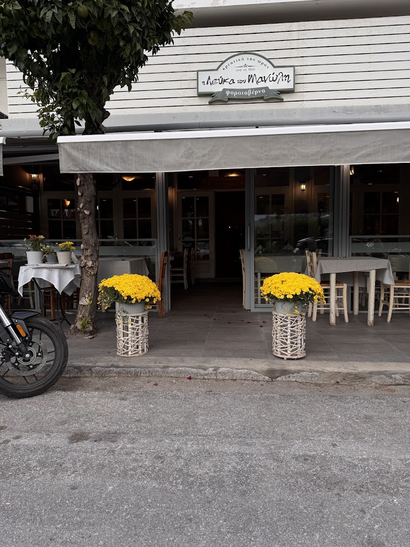 Manolis' poplar - Photo 5