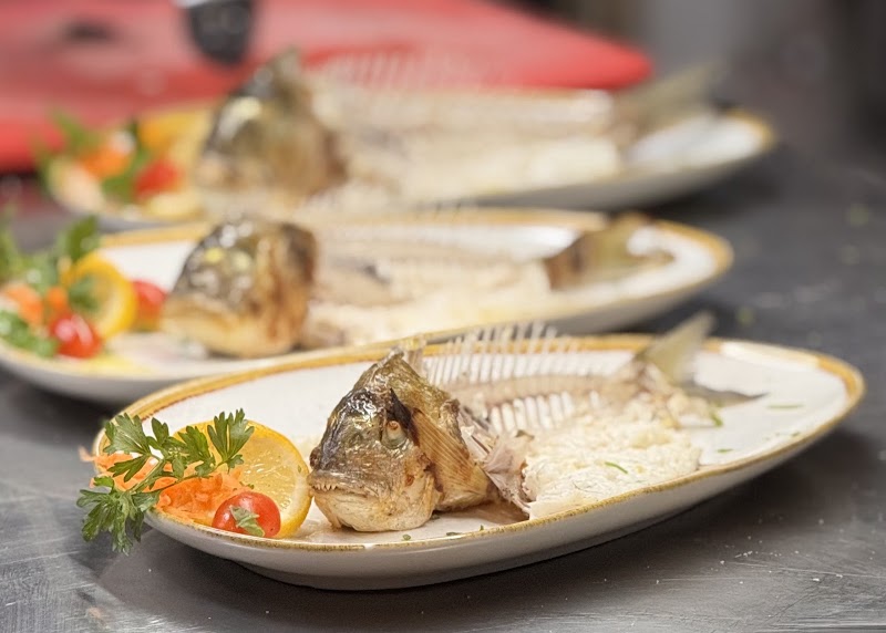 Manolis' poplar - Photo 3